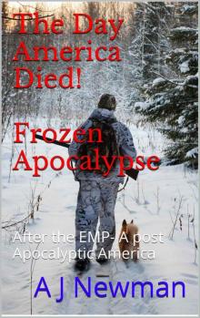 The Day America Died! Frozen Apocalypse: After the EMP- A post Apocalyptic America Read online