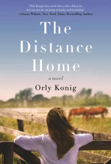 The Distance Home Read online