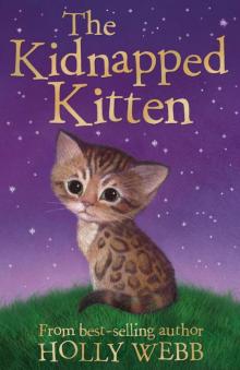The Kidnapped Kitten Read online