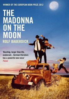 The Madonna on the Moon Read online