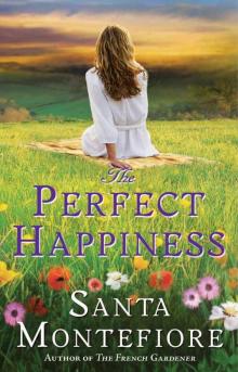 The Perfect Happiness Read online