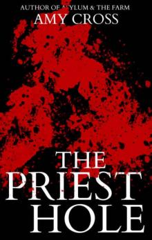 The Priest Hole Read online