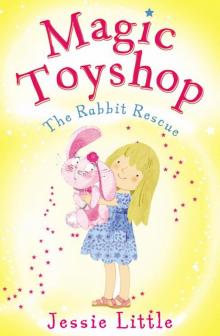 The Rabbit Rescue Read online