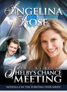 The Reunion: Shelby's Chance Meeting (Starting Over Series) Read online
