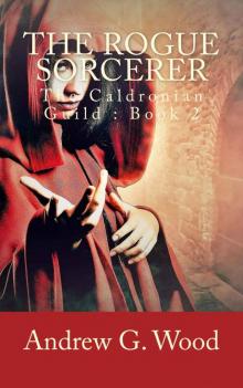 The Rogue Sorcerer: The Caldronian Guild : Book 2 Read online
