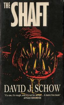 The Shaft Read online