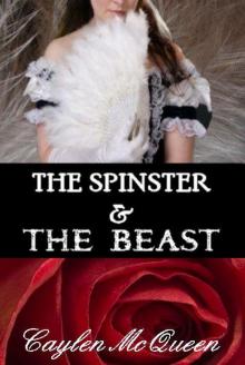 The Spinster & the Beast Read online