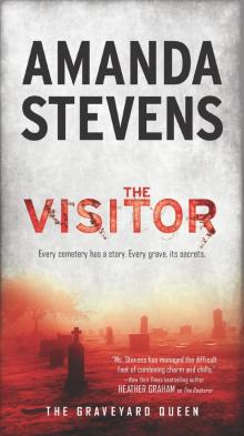 The Visitor Read online