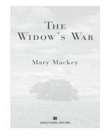 The Widow's War Read online
