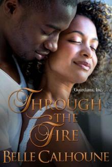 Through The Fire (Guardians, Inc. Book 2) Read online