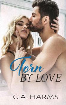 Torn by Love (Scarred by Love Series Book 4)