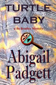 Turtle Baby (Bo Bradley Mysteries, Book Three) Read online