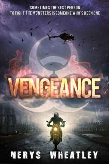 Twenty-Five Percent (Book 3): Vengeance Read online