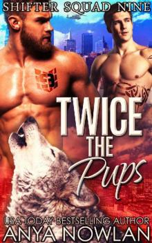 Twice the Pups: Paranormal SEAL Second Chance Surprise Baby Romance (Shifter Squad Nine Book 4)