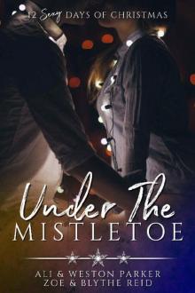 Under the Mistletoe: A Sexy Bad Boy Holiday Novel (The Parker's 12 Days of Christmas) Read online