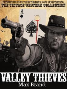 Valley Thieves Read online