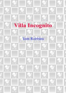 Villa Incognito Read online