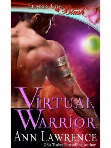 VirtualWarrior Read online