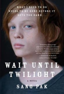 Wait Until Twilight Read online