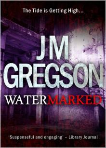 Watermarked (Lambert and Hook Detective series Book 7)