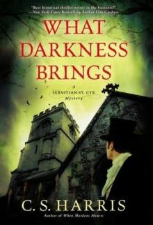 What Darkness Brings sscm-8 Read online