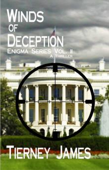 Winds of Deception (Enigma Series Book 2) Read online