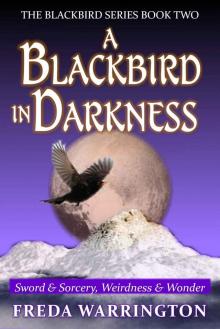 A Blackbird In Darkness (Book 2) Read online