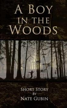 A Boy in the Woods Read online