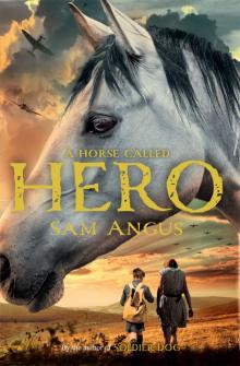 A Horse Called Hero Read online
