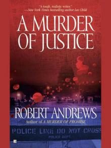 A Murder of Justice Read online