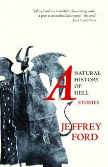 A Natural History of Hell: Stories Read online