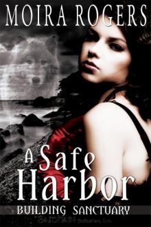 A Safe Harbor: Building Sanctuary, Book 1 Read online