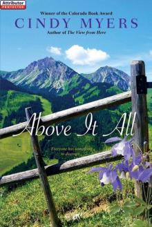Above It All (Eureka, Colorado Book 4) (Contemporary Romance) Read online