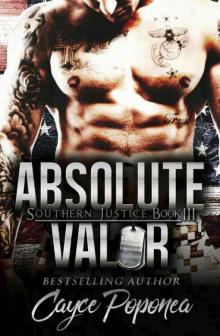 Absolute Valor (Southern Justice #3) Read online
