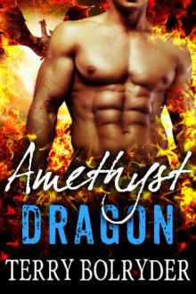 Amethyst Dragon (Awakened Dragons Book 5) Read online