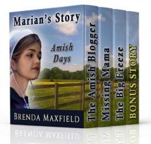 Amish Romance BOOK BUNDLE: Marian's Story: Amish Romance Boxed Set (Hollybrook Amish Romance)