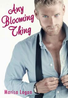 Any Blooming Thing: Contemporary Second Chance Romance Novella (Clean Romantic Comedy) (Flower Shop Romance Book 1) Read online