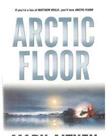 Arctic Floor Read online