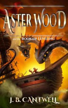 Aster Wood and the Book of Leveling (Volume 2) Read online