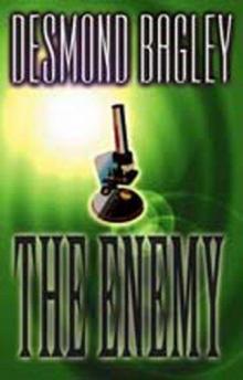 Bagley, Desmond - The Enemy