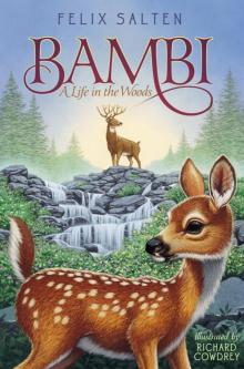 Bambi Read online