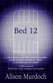 Bed 12 Read online