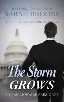 Billionaire Romance: The Storm GROWS: An Alpha Billionaire Romance (The Billionaire President Book 14) Read online