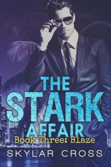 Blaze (The Stark Affair Book 3) Read online