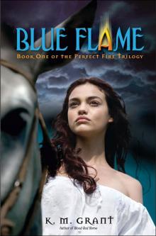 Blue Flame Read online