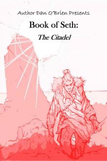 Book of Seth: The Citadel: A Fallen Chronicles Book Read online