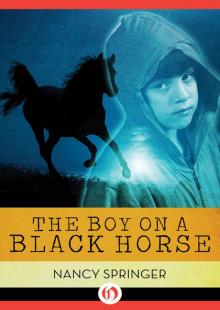 Boy on a Black Horse Read online