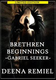 Brethren Beginnings ~ Gabriel Seeker Read online