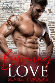 Burning Love (An Evans Mill Romance Book 3) Read online
