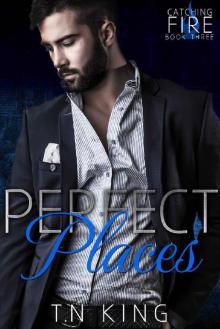 Catching Fire: Perfect Places (Billionaire Romance Series Book 3) Read online
